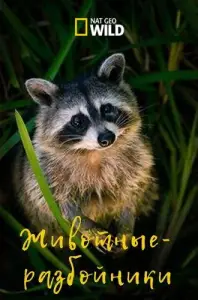 Животные-разбойники (фильм 2017)