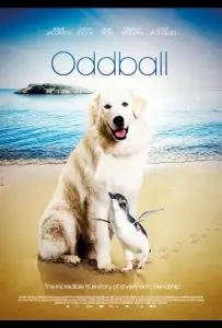 Чудак (фильм 2015)