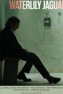 Кувшинковый ягуар (фильм 2018)
