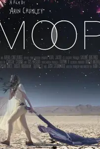 Неуместность (фильм 2019)