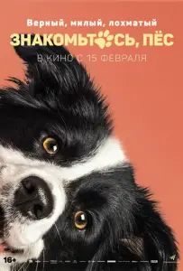 Знакомьтесь, пёс (фильм 2022)