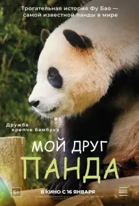 Мой друг панда (фильм 2024)