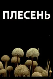 Плесень (фильм 2009)