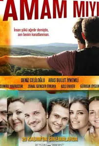 Неужели мы поняли друг друга? (фильм 2013)