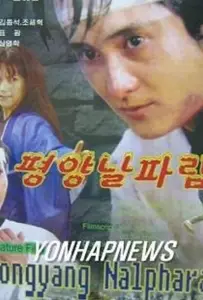 Пхеньян нальпхарам (фильм 2006)